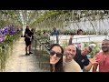 Rf orchids nursery sale day shopping with friends  grand tour  bonus visits to ofe  banjong