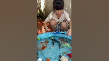 Tổng hợp video cá cảnh đẹp , cá trê cá tra cá lóc cá bống , cá koi , cá tôm hùm , cua , các loại cá