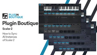 Scaler 2 Tutorial | How to Sync All Instances of Scaler in Your Project