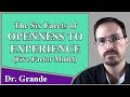 The Six Facets of Openness to Experience (Five Factor Model)