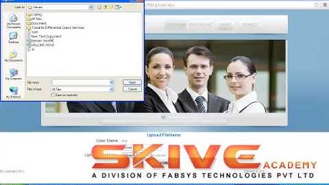 Towards Differential Query Services in Cost-Efficient Clouds