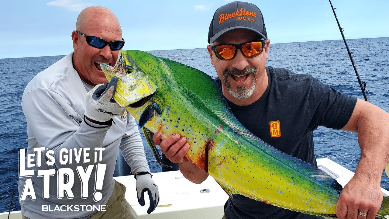 Mahi Mahi Adventure in Florida! Let's Give it a Try! Blackstone