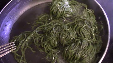Review Chlorella Noodles With Organic Girl Veggies