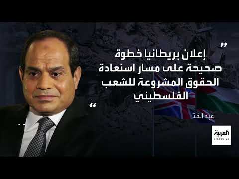 تطورات القضية الفلسطينية وغزة: مبادرات إقليمية ودولية