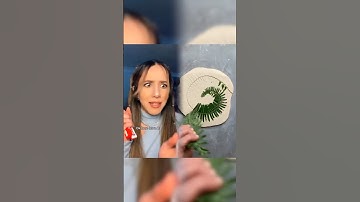 You live in a world where money doesn’t exist so you have to trade things to survive.. #POV: