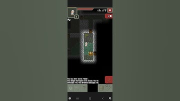 Pixel dungeon glitch