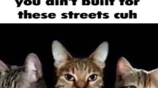 you aint built 4 deez streets cuh