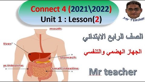 منهج الانجليزي الجديد 2022  Unit 1 Lesson 2   الجهاز الهضمي والتنفسي   connect 4