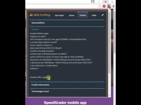 Web Profiling ans Scoping Tool chrome extension