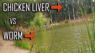 CATFISH BAIT CHALLENGE!! Nightcrawler Worms vs Chicken Liver at Don Castro | ITGETSREEL Episode 148