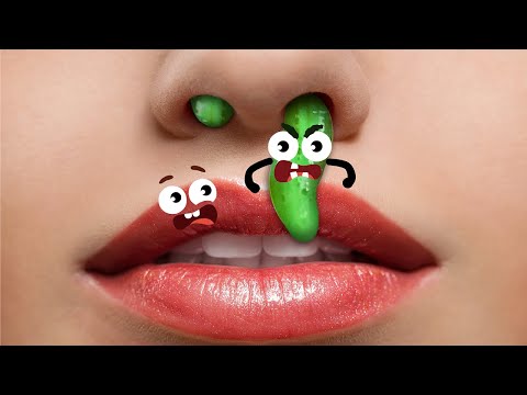 الشيخ عبد الرحمن السديس سورة البقرة رقية شرعية لحفظ وتحصين المنزل و البركة تلاوة رائعة Sourah Baqara