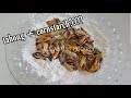 Try this recipe with your Mussels (Tahong)