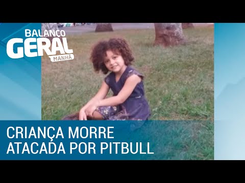 Vídeo: Menina De 9 Anos Morre Ao Ser Atacada Por Três Pit Bulls