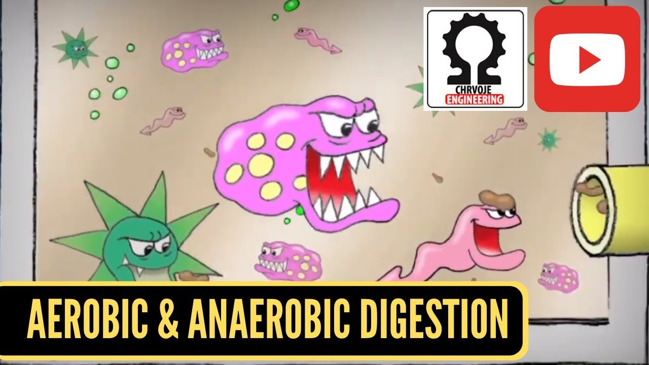 Aerobic Digestion and Anaerobic Digestion - YouTube