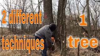 Using 2 different tree cutting techniques  Under notch and hinge push