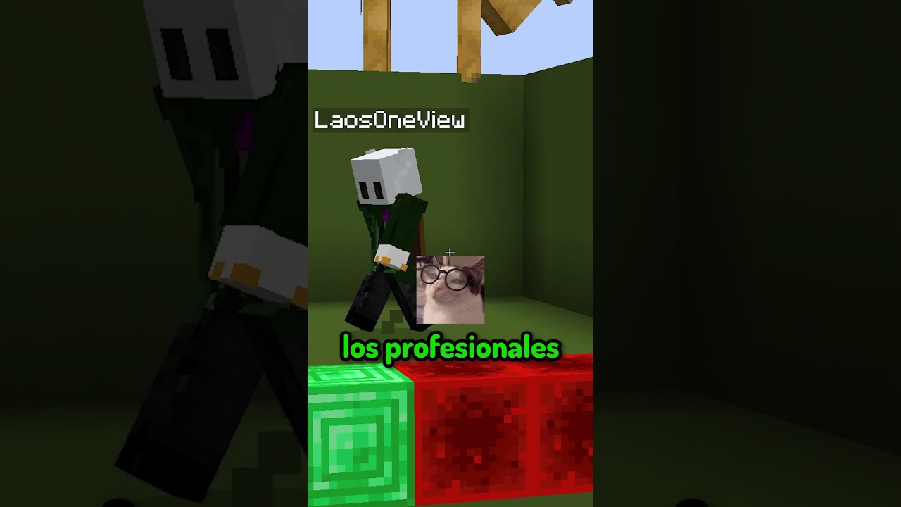 Pollo VS Laos #minecraft #shorts