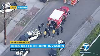 Home-invasion suspect kills 3 dogs at home in Sun Valley, LAPD says