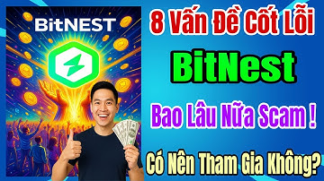 BitNest - Cập nhật 8 vấn đề cốt lỗi,bao lâu nữa scam,có nên tham gia đầu tư nền tảng không?