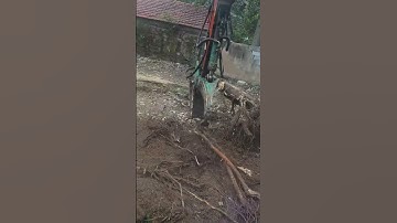 The task of uprooting tree roots is very simple, it