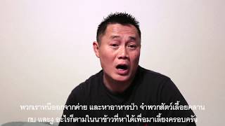 Interview #33 Tonchun
