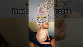 How to find the Intertubercular (bicipital) groove of the humerus 🧐 💪🏻 📍