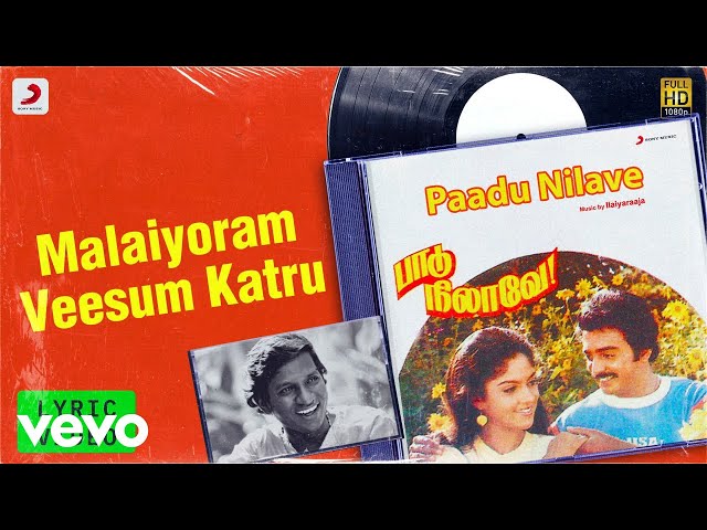 Paadu Nilave - Malaiyoram Veesum Katru Lyric | Mohan, Nadhiya | Ilaiyaraaja class=