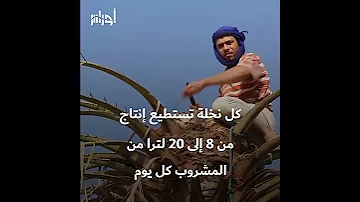 تعر ف من خلال الفيديو على فوائد مشروب اللاڨمي 