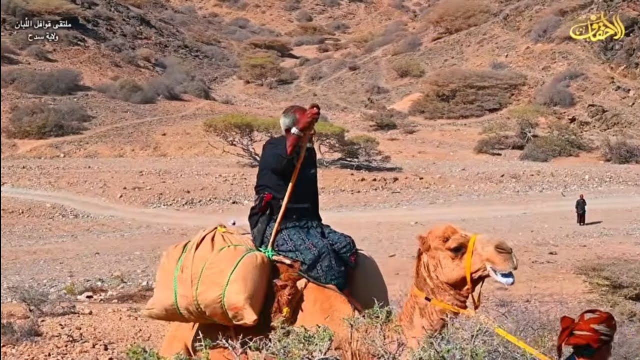 ملتقى|| قوافل اللبان || وادي شليون|| ولاية سدح||حصري || #اكسبلور 