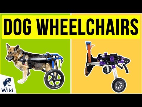 8-best-dog-wheelchairs-2020