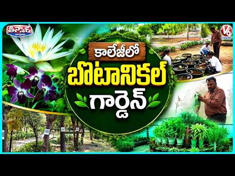 852 Species 7000 Trees | Explore Jadcherla Unique Telangana Botanical Garden | V6 Teenmaar - V6NEWSTELUGU