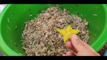 Làm Các Món Ngon Cỗ Cưới Quê I Ẩm Thực Núi Đồi Lục Ngạn