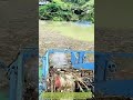 Der Flussmüllsammler: Mechanische Sammlung von schwimmendem Müll