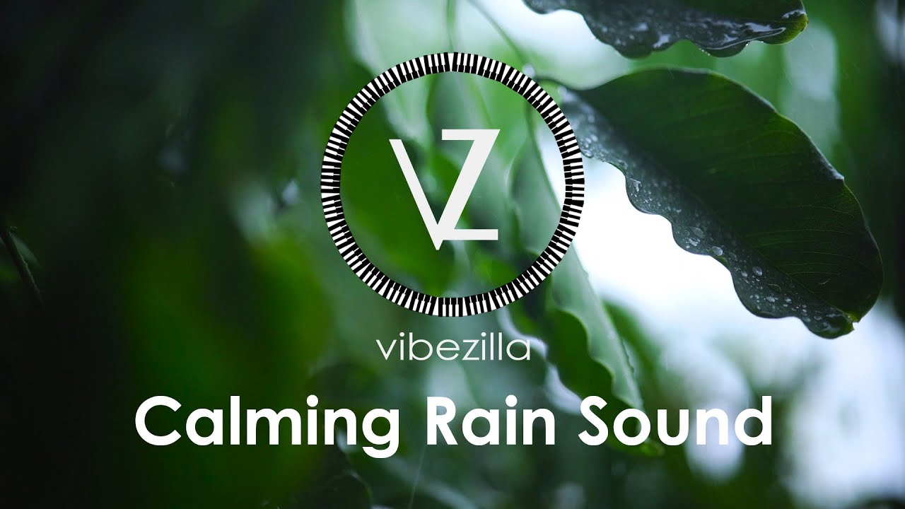 Rain Sounds Rain Music Stress Relief Sounds Vibezilla YouTube