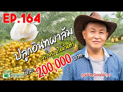   l  เกษตรกรไทย สร้างรายได้ Ep164