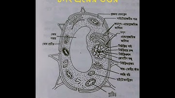 #class 7 science assignment answer 9th week 2021.৭ম শ্রেণীর ৯ম সপ্তাহের বিজ্ঞান এসাইনমেন্ট উত্তর২০২১
