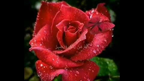 إنه من يتق ويصبر قرآن كريم من سورة يوسف