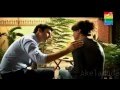 Humsafar title song ost hum tvto watch round bull race se description