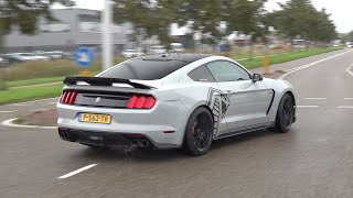 Ford Mustang Shelby Gt350 - Engine Start Up, Accelerations, Drag Racing!
