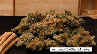 Legalizing Marijuana on Ballot in Five States