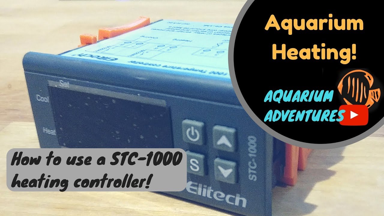 Best way to heat your aquarium how to set up a heating controller