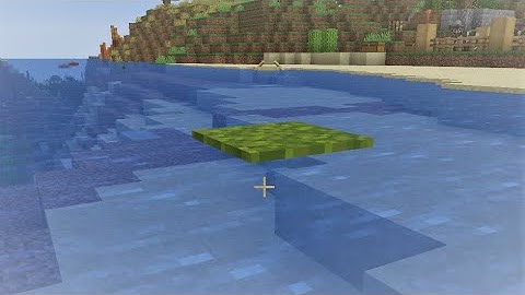 Moss Carpets Float on Water (1.19 bug)