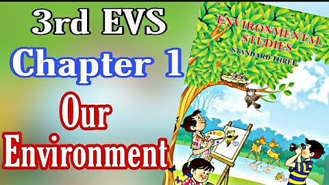 Our Environment, Class 3, EVS, Chapter 1, Maharashtra Board