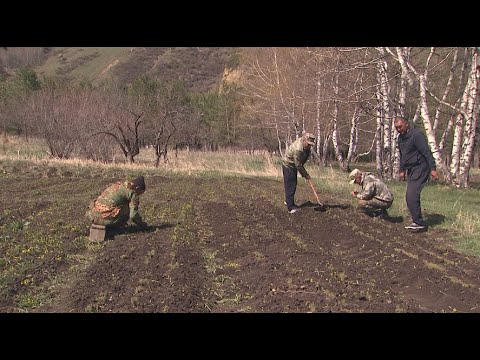 Запасы лекарственных растений истощаются в Казахстане