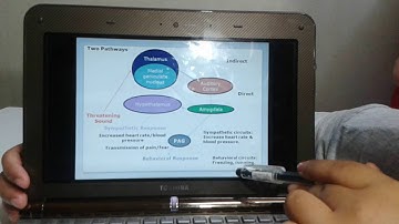 Neural Mechanisms of Fear Conditioning