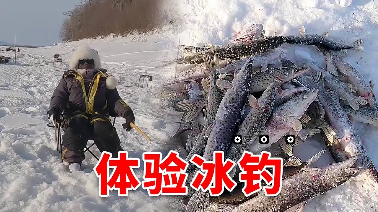 來冰釣天堂體驗一下，桿桿有驚喜啊，實在太過癮了