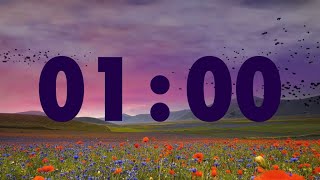 Famous 1 Minute Spring Inspiration: Motivational Timer with Flower Field Views and Music Net Worth
