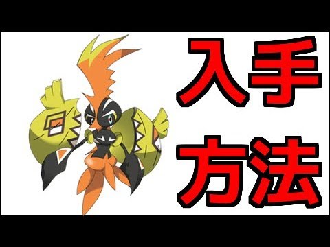 ポケモンウルトラサン カプ コケコ入手方法 ポケモンウルトラサンムーン Youtube