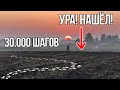 Не зря Прошёл 33.000 шагов! УРА! Я НАШЕЛ ЭТО! Серый Копатель в поисках Клада!