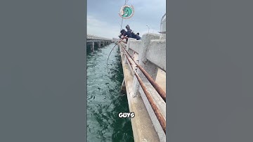 Mancing mania!! #fyp #viral #shorts #mancing #fishing #fish