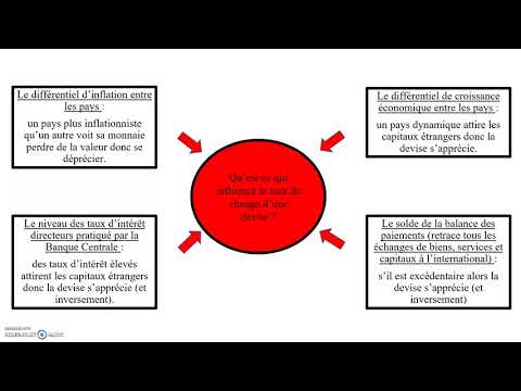 Vidéo: Qui sont les principaux acteurs du marché des changes ?